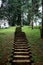 Green Stairs to Hill in King Garden of Peradeniya