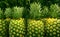 Green stalks of pineapple fruits in line at supermarket showcase