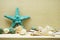 Green starfish and seashell marine decoration with space copy on wooden background