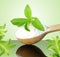 Green Stevia and extract powder in wooden spoon on green background