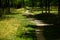 The green stone paths in the park