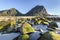 Green stones on the Lofoten Island coastline, Norway