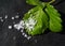 Green strawberry leaf covered by real hailstones