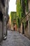 Green streets of ancient Rome