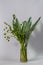 Green strelitzia leaves and european bur reed or sparganium emersum in glass vase on gray background