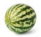 Green striped watermelon