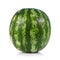 Green striped watermelon