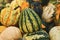 Green striped â€˜Flat striped` gourd on pile