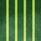 Green stripes nature inspired