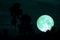 green sturgeon moon on the night red sky back silhouette branch tree