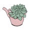 Green succulent in the pink teapot. Cute vector cactus silhouette Lovely home plant.