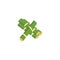 Green sugar cane plant stalk pile icon