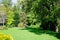 Green summer backyard garden with grass after rain and the sun