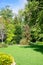 Green summer backyard garden with grass after rain and the sun