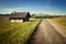 Green summer farmland