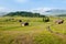 Green summer farmland