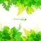 Green summer foliage vector background