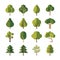 Green summer forest tree flat vector icons