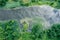 Green summer landscape. aerial views above swampy river with reflections of cloudy sky