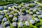 Green summer landscape surrounding Small Houses Condo Apartments