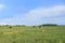 Green summer landscape and zebra in Mlilwane Wildlife Sanctuary in Swaziland, southern Africa