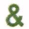 Green summer lawn grass symbol isolated  white background, ampersand sign