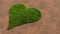 Green summer lawn grass symbol shape on brown soil or earth background, heart sign