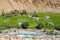 Green summer view of the Indus valley in Himalaya mountains in Ladakh