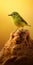 Green Sunrise Bird On Yellow Sand: Terragen Style Fine Art Photography