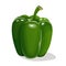 Green sweet bell peppers