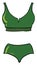 Green swimsuit, illustration, vector