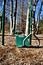 Green swing at a children`s park