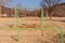 Green swing set