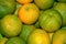 Green tangerine oranges fruit composition,citrus winter products background