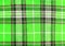 Green tartan fabric texture