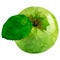 Green tasty apple stylized with triangles