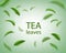 Green tea background. Realistic tea leaves whirl in the air. Floral elements for design, advertising, packaging. Vector