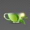 Green Tea Cup And Natural Branch Leaves Vector