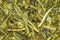 Green Tea Japan Sencha Close Up