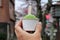 Green tea matcha ice cream over tourist attraction walking street background.