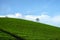 Green tea plantation hills with blue sky on background