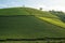 Green tea plantation hills with blue sky on background