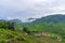 Green tea plantations in the hills in the highlands. The best tea grows in humid  foggy climates high in the mountains