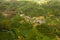 Green tea plantations in a mountainous province in Sri Lanka.