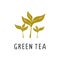 Green tea Vector illustration, flat design cartoon of antioxidant-rich green tea natural product for health and vitamins