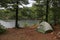 Green Tent in Algonquin Park