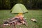 Green Tent, Campfire, Mushrooms And Cup On Grass