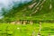 Green terraced fields in Nar village, Annapurna Area, Nepal