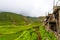 Green terraced fields and traditional architecture in the ancient Tibetan Nar village