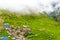 Green terraced fields and traditional architecture in the ancient Tibetan Nar village